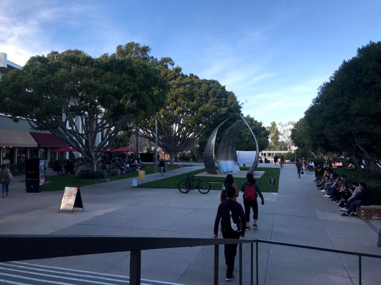 This image has an empty alt attribute; its file name is img_6595.jpg